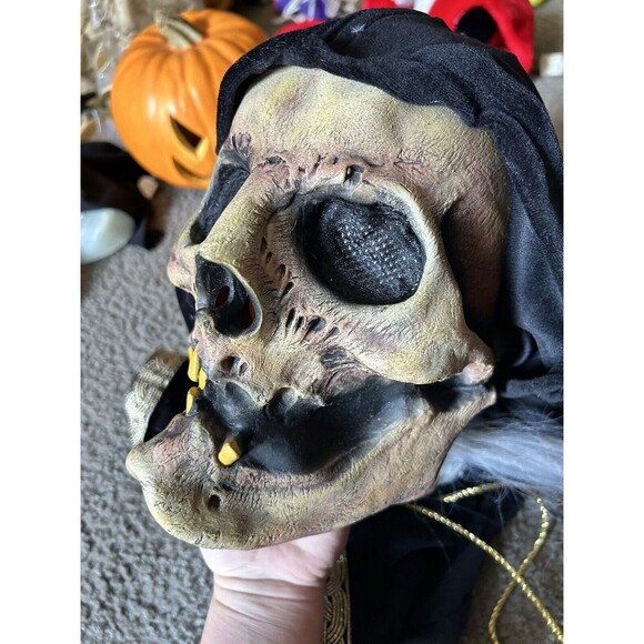 Mario Chiodo 2004 Horror Wicked Witch Skull Mask W/ Hair & Robe Hood - Picture 5 of 6